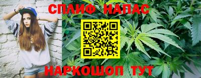 ешки Можга
