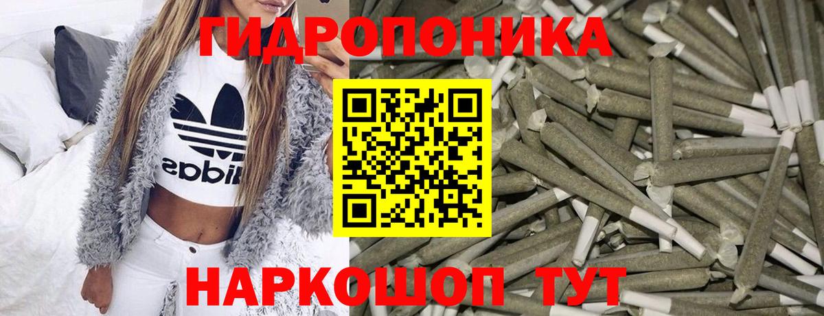 Бошки марихуана OG Kush  Вход с VPN  Тимашёвск  Канабис марихуана  МАРИХУАНА сатива 